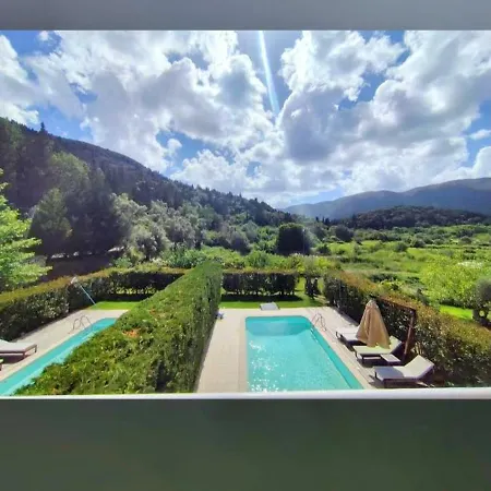 Il Viaggio * 바실리키