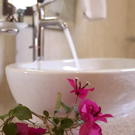 Il Viaggio * 바실리키