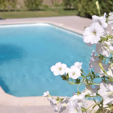 Il Viaggio Apartament